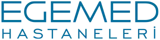 Egemed Hospitals Logo