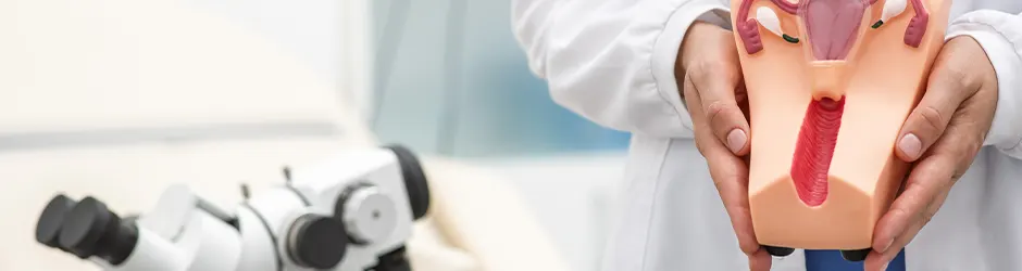 Laparoscopic Surgery: Gynecology and Uterine Fibroid Surgery