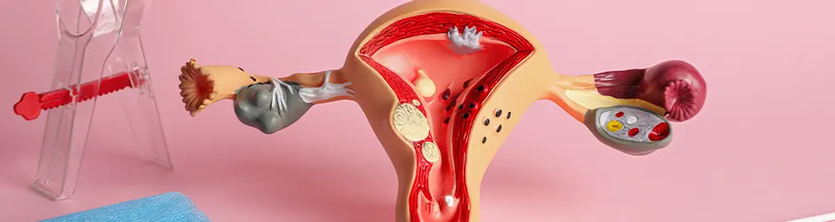 Gynecological Exams and Women’s Health Screenings